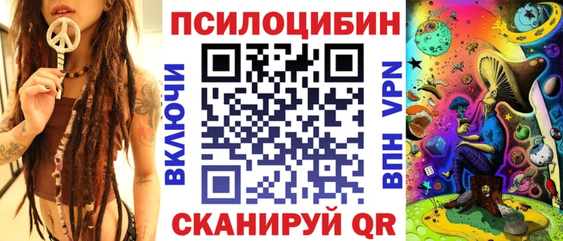 где купить наркоту  Алейск  Галлюциногенные грибы MAGIC MUSHROOMS 