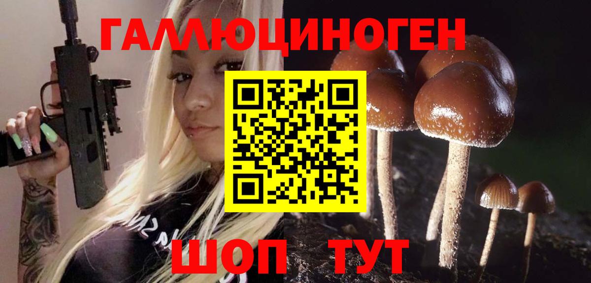 Алейск  Псилоцибиновые грибы MAGIC MUSHROOMS  Вход с VPN 